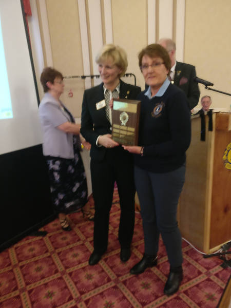 Ann reecives the District Governor's Club Excellence Award